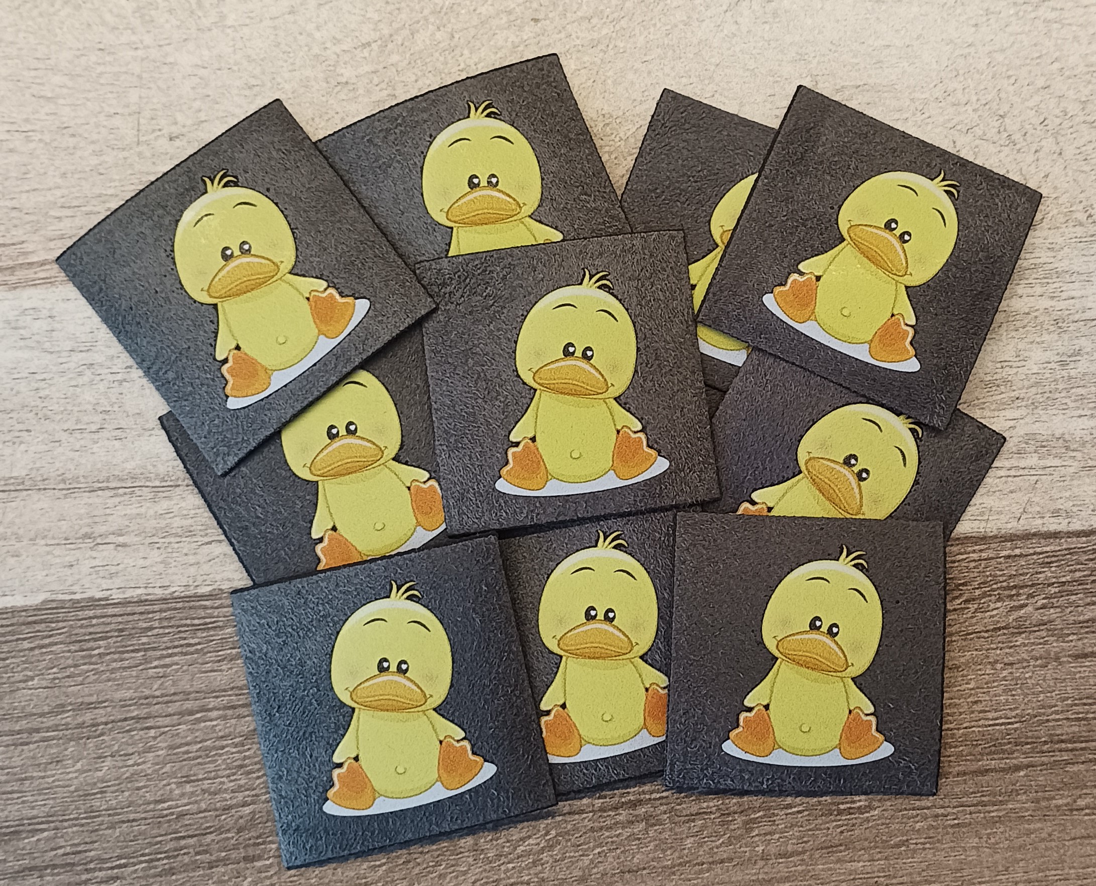 Semišová aplikace Kačka