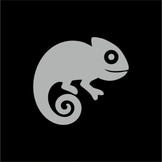 Reflexní obrázek Chameleon